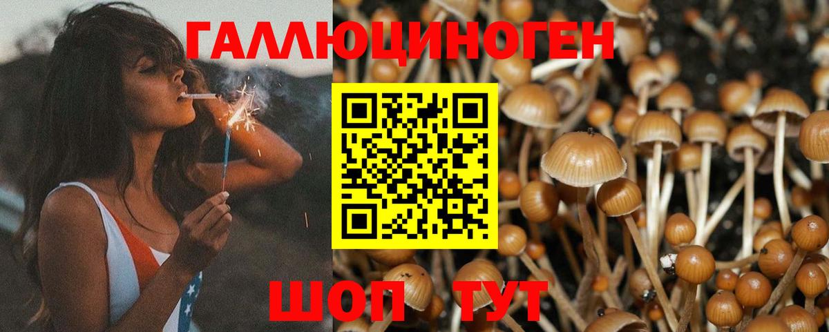 Галлюциногенные грибы мухоморы Кузнецк