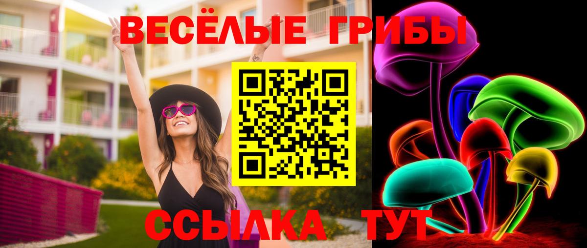 Псилоцибиновые грибы мухоморы  Вход с VPN  Кузнецк 
